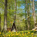 Du Bois Des Perruches Saint-Vincent-des-Bois