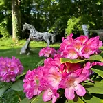 Du Bois Des Perruches Holiday home Saint-Vincent-des-Bois