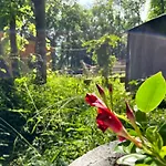 Holiday home Du Bois Des Perruches *