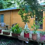 Du Bois Des Perruches * Saint-Vincent-des-Bois