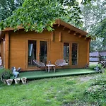 Du Bois Des Perruches Saint-Vincent-des-Bois