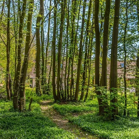 بيت للعطل Du Bois Des Perruches *