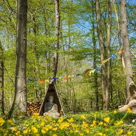 Du Bois Des Perruches Saint-Vincent-des-Bois