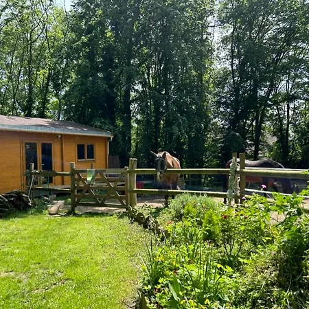 Du Bois Des Perruches Holiday home