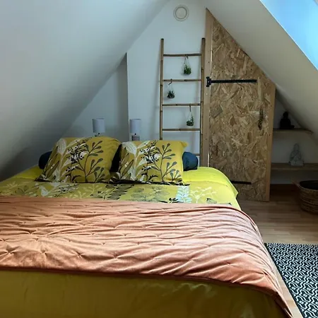 Du Bois Des Perruches * Saint-Vincent-des-Bois