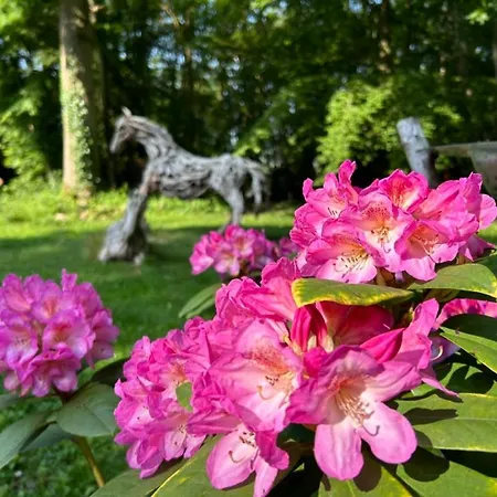 Du Bois Des Perruches Hébergement de vacances Saint-Vincent-des-Bois