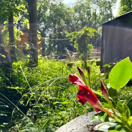 Hébergement de vacances Du Bois Des Perruches *