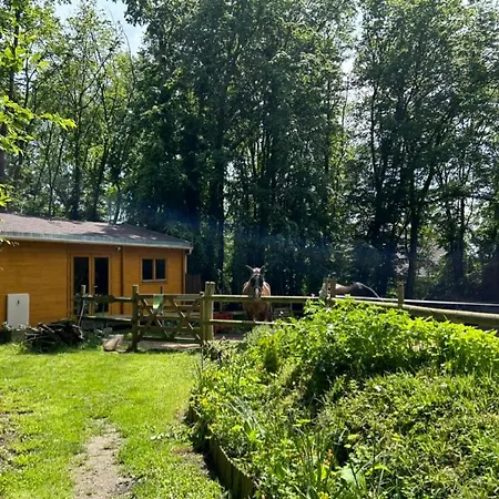 Du Bois Des Perruches * Saint-Vincent-des-Bois