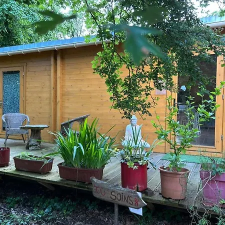 Du Bois Des Perruches * Saint-Vincent-des-Bois