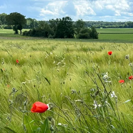 Hébergement de vacances Du Bois Des Perruches *