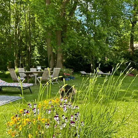 Casa vacanze Du Bois Des Perruches Saint-Vincent-des-Bois