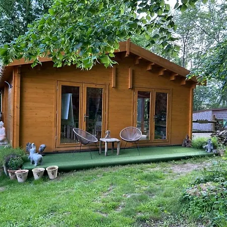 Du Bois Des Perruches Saint-Vincent-des-Bois