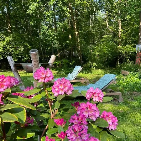 Du Bois Des Perruches Hébergement de vacances