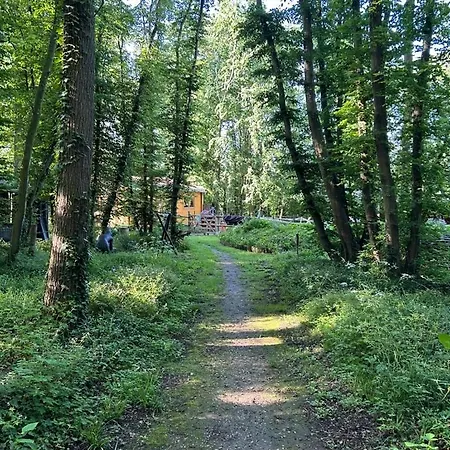 Du Bois Des Perruches Hébergement de vacances Saint-Vincent-des-Bois