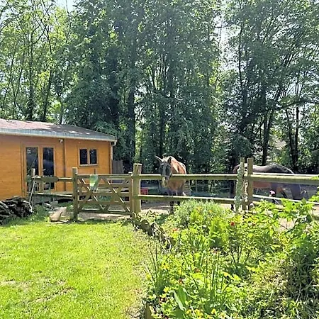 Du Bois Des Perruches Saint-Vincent-des-Bois