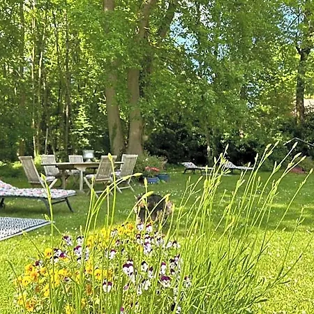 Du Bois Des Perruches Feriehus