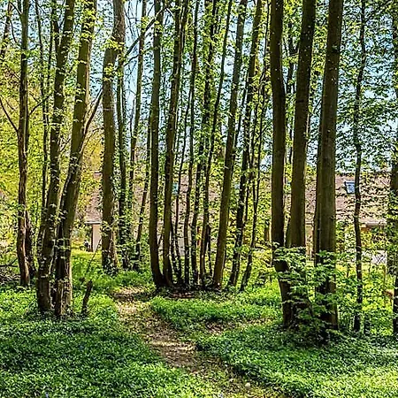 Du Bois Des Perruches *