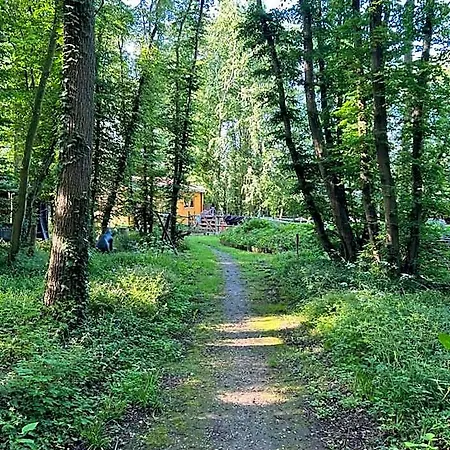 Du Bois Des Perruches * Saint-Vincent-des-Bois