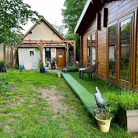 Du Bois Des Perruches * Saint-Vincent-des-Bois