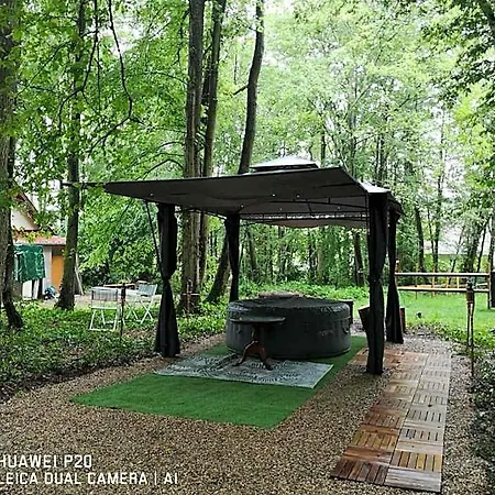 Du Bois Des Perruches Saint-Vincent-des-Bois