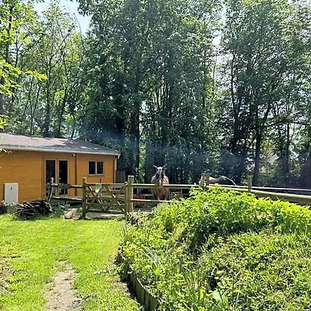 Holiday home Du Bois Des Perruches