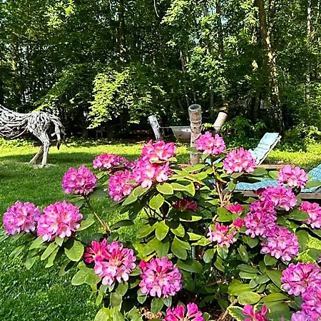 Du Bois Des Perruches