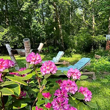 Du Bois Des Perruches Saint-Vincent-des-Bois