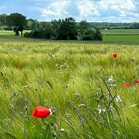 Holiday home Du Bois Des Perruches