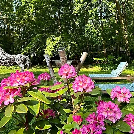 Du Bois Des Perruches Feriehus *